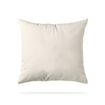 Coussin "travers de porc"